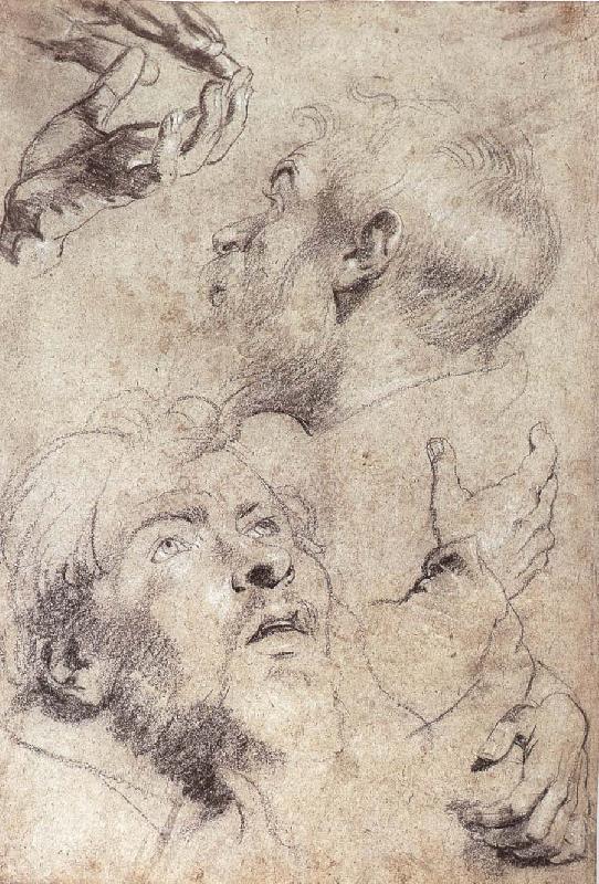 Peter Paul Rubens Four hand and two man-s head portrait